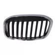 BLIC 6502-07-0071993P - Grille de radiateur