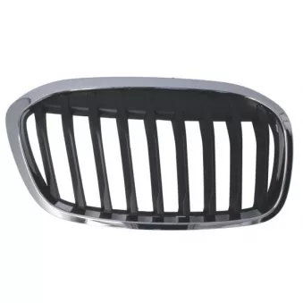 BLIC 6502-07-0071994P - Grille de radiateur avant droit 