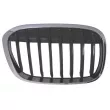 BLIC 6502-07-0082994MP - Grille de radiateur avant droit