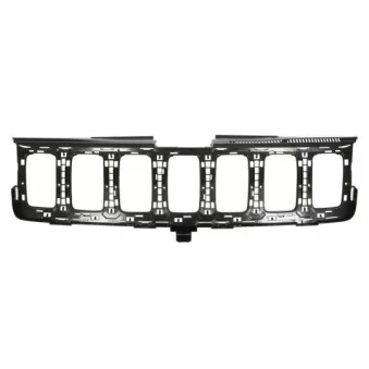 Grille de radiateur BLIC 6502-07-3207900P
