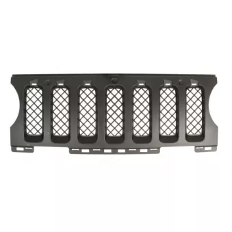 Grille de radiateur BLIC 6502-07-3219991P
