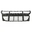 BLIC 6502-07-5724990P - Grille de radiateur