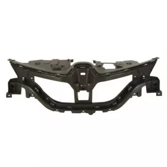 Grille de radiateur BLIC 6502-07-6013992P