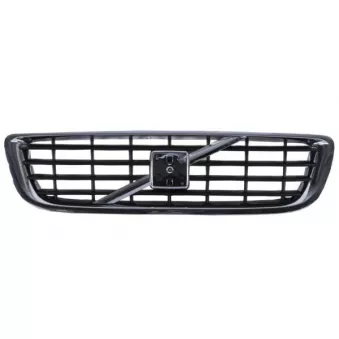 Grille de radiateur BLIC 6502-07-9009992P