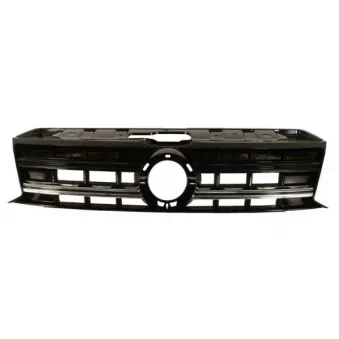 Grille de radiateur BLIC 6502-07-9595990P