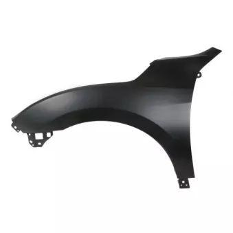 Aile avant gauche BLIC 6504-04-2914313P