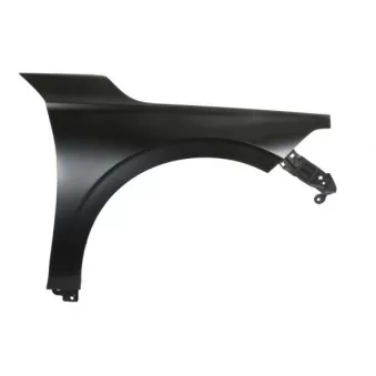 Aile avant droit BLIC 6504-04-2915312P