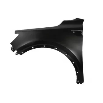 Aile avant gauche BLIC 6504-04-3289313P