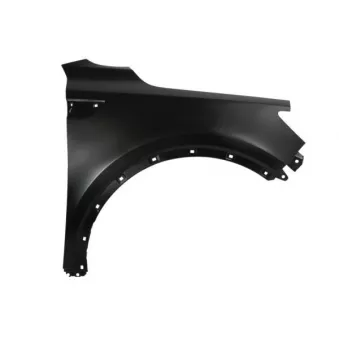 Aile avant droit BLIC 6504-04-3289314P