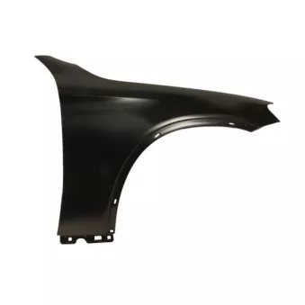 Aile avant droit BLIC 6504-04-3533312AP