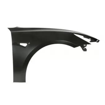 Aile avant droit BLIC 6504-04-7703312P