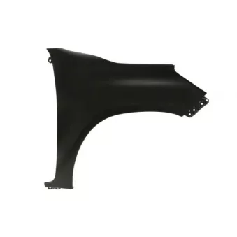 Aile avant droit BLIC 6504-04-8175314P