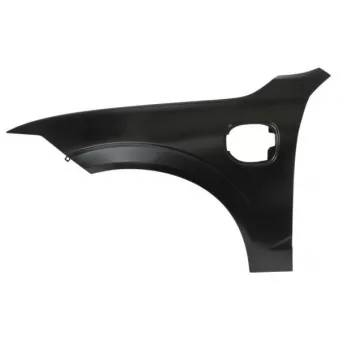 Aile avant gauche BLIC 6504-04-9058311HP