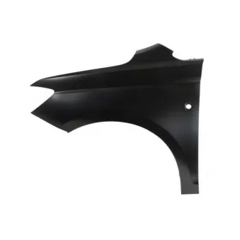 Aile avant gauche BLIC 6504-04-9576311P