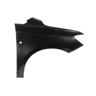 Aile avant droit BLIC 6504-04-9576312P