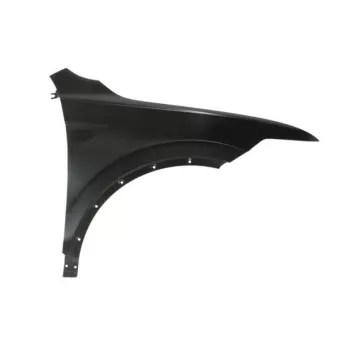 Aile avant droit BLIC 6504-04-9588314P