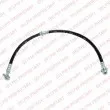 Flexible de frein DELPHI [LH6792]
