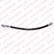 Flexible de frein DELPHI [LH6839]