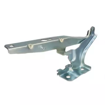 Charnière, capot-moteur BLIC 6802-00-9508451P pour VOLKSWAGEN POLO 1.5 TSI - 150cv