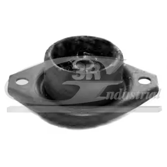 3RG 45301 - Support moteur