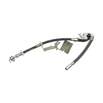 DELPHI LH7012 - Flexible de frein