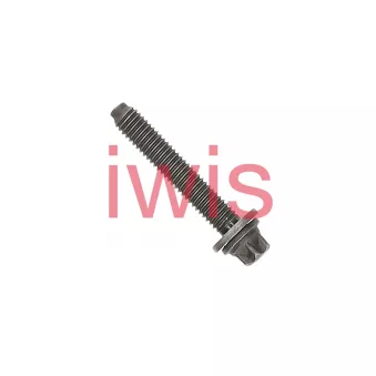 iwis Motorsysteme 59334 - Vis