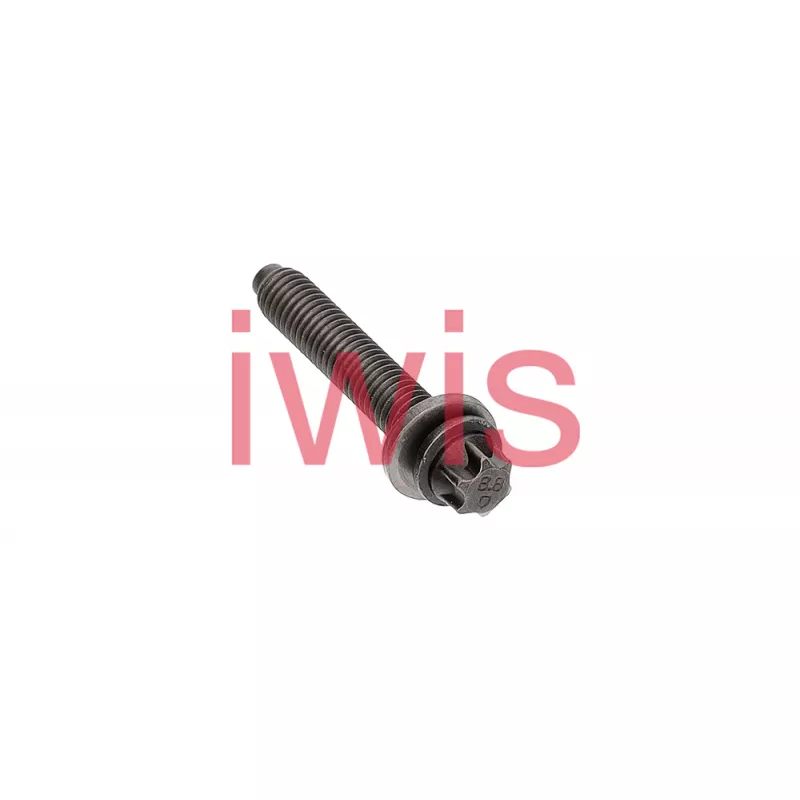 Vis iwis Motorsysteme 59334 - Visuel 1