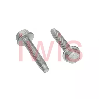 iwis Motorsysteme 59501 - Vis