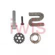 iwis Motorsysteme 59815Set - Kit de chaînes, commade de pompe à huile