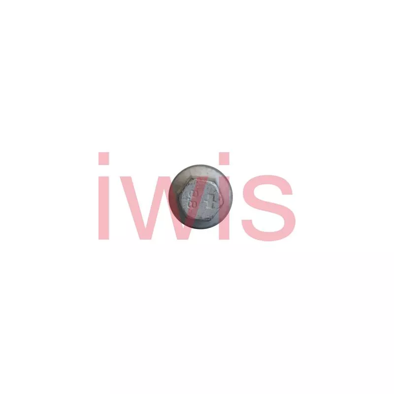 Vis iwis Motorsysteme 60203 - Visuel 1