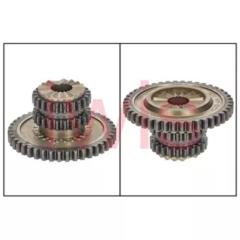 iwis Motorsysteme 60215 - Roue dentée, arbre à contrepoids d'équilibrage