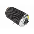 Dunlop Airsuspension 71039 - Ressort pneumatique, châssis arrière droit