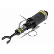 Armortisseur pneumatique Dunlop Airsuspension [71048]