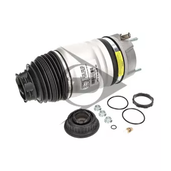 Dunlop Airsuspension 71079 - Ressort pneumatique, châssis arrière droit