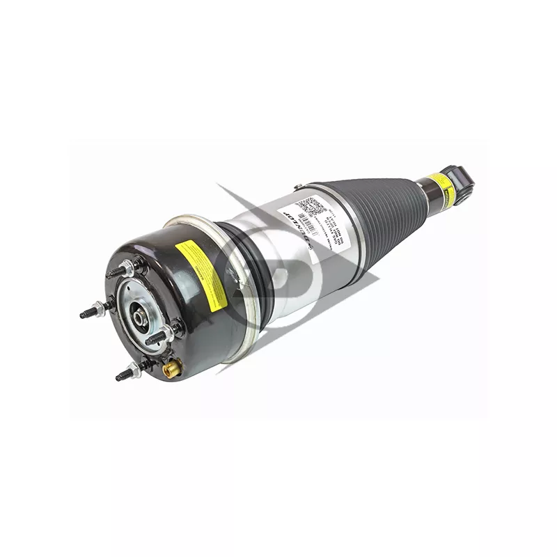 Armortisseur pneumatique Dunlop Airsuspension 71118 - Visuel 1