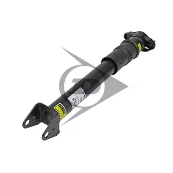 Dunlop Airsuspension 71167 - Armortisseur pneumatique