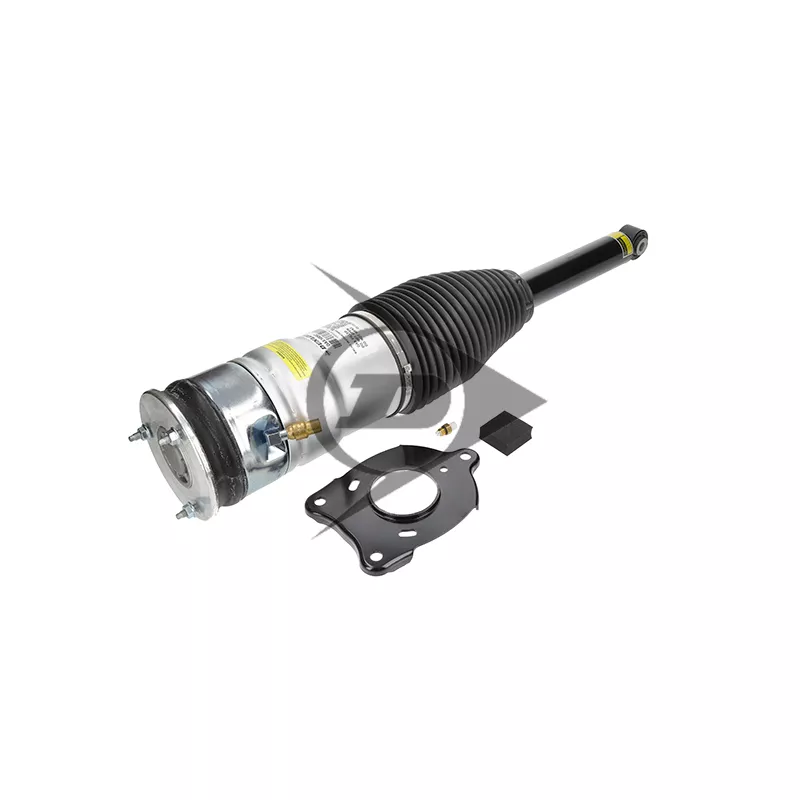 Armortisseur pneumatique Dunlop Airsuspension 71231 - Visuel 1