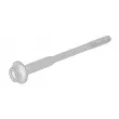 Boulon d'injecteur de carburant OE [WHT004923B]