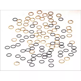 Kit de joints toriques ELRING 017.728 Kit de joints toriques ELRING 017.728