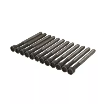 Jeu de boulons de culasse de cylindre ELRING 341.410 pour AUDI A6 S6 quattro - 435cv