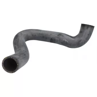 Durite de radiateur THERMOTEC OEM 1134600