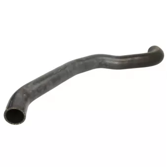 Durite de radiateur THERMOTEC OEM 7T169047BB