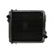 Radiateur, refroidissement du moteur THERMOTEC [D7AG112TT]