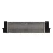 THERMOTEC DAB020TT - Intercooler, échangeur