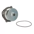 THERMOTEC WP-IV134 - Pompe à eau