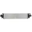 THERMOTEC DAD005TT - Intercooler, échangeur