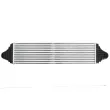 THERMOTEC DAV012TT - Intercooler, échangeur