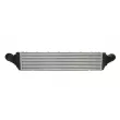 THERMOTEC DAA032TT - Intercooler, échangeur