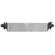 Intercooler, échangeur THERMOTEC [DAX038TT]