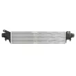 THERMOTEC DAX038TT - Intercooler, échangeur